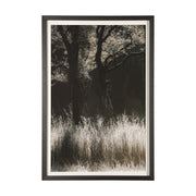 Tranquil Symmetry I