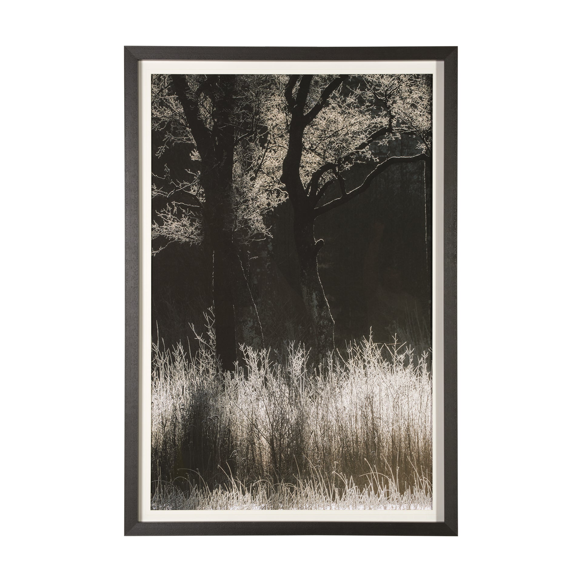 Tranquil Symmetry I
