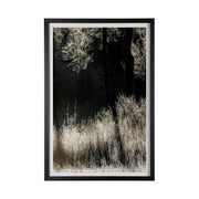 Tranquil Symmetry II