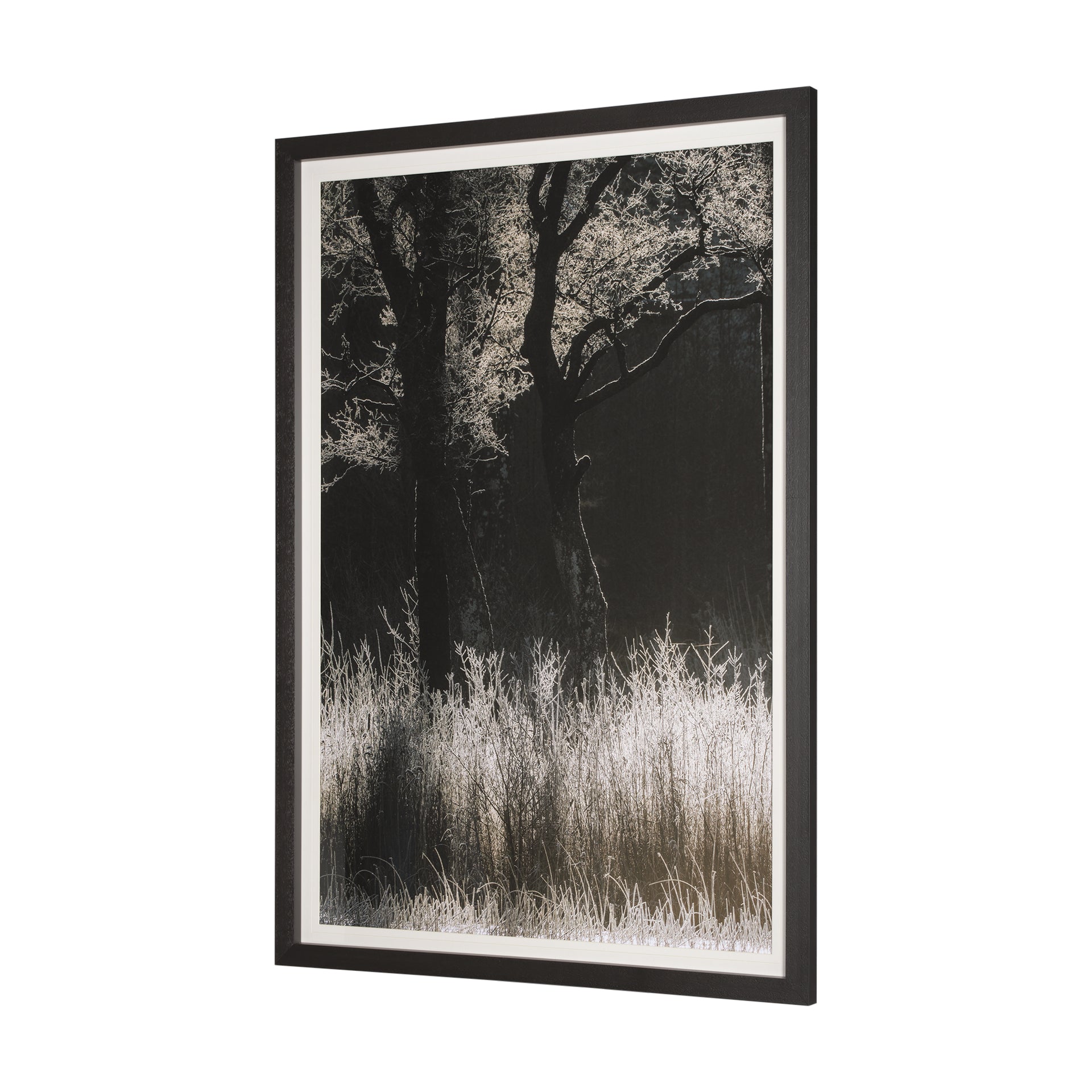 Tranquil Symmetry I