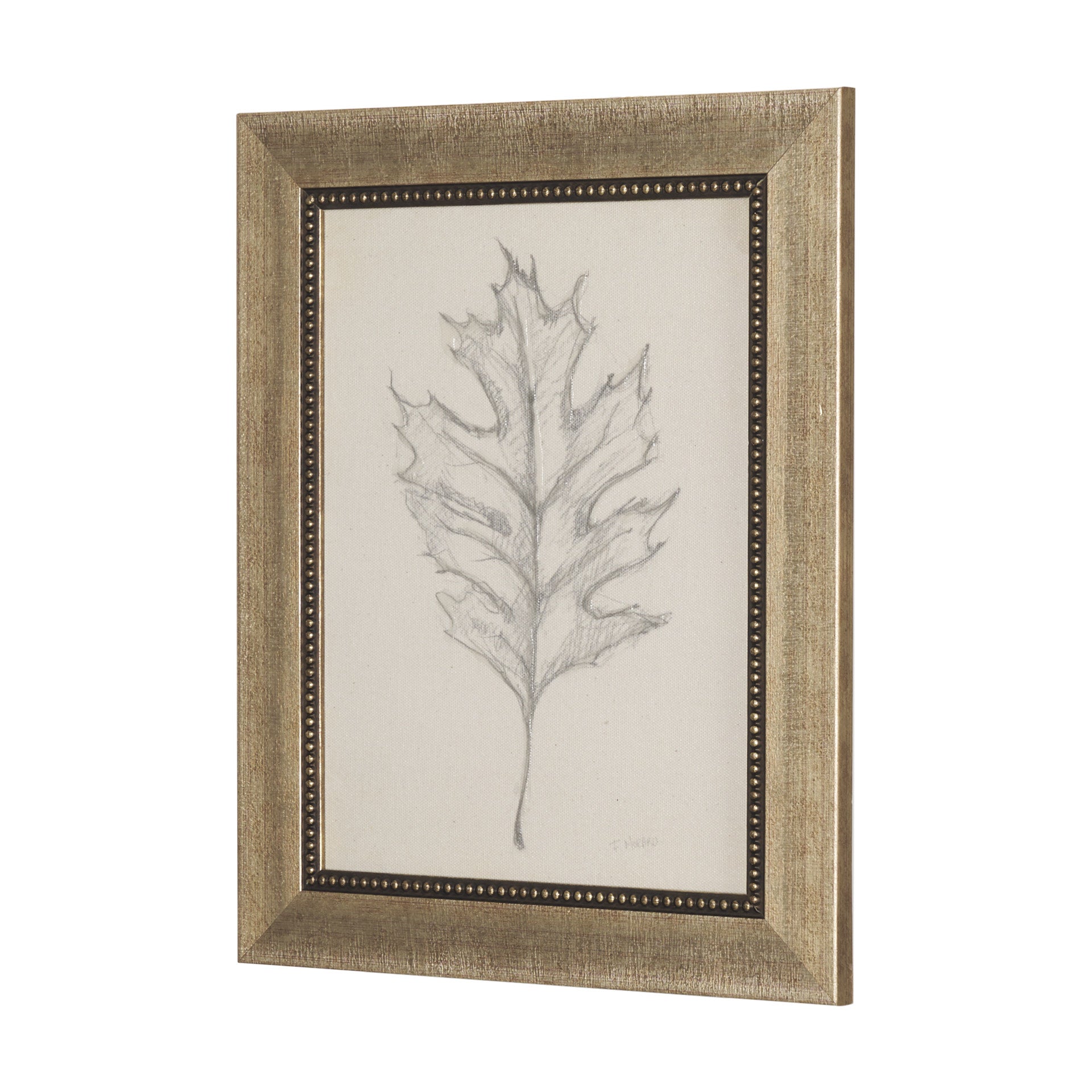 Soft Shadows (Set of 5)
