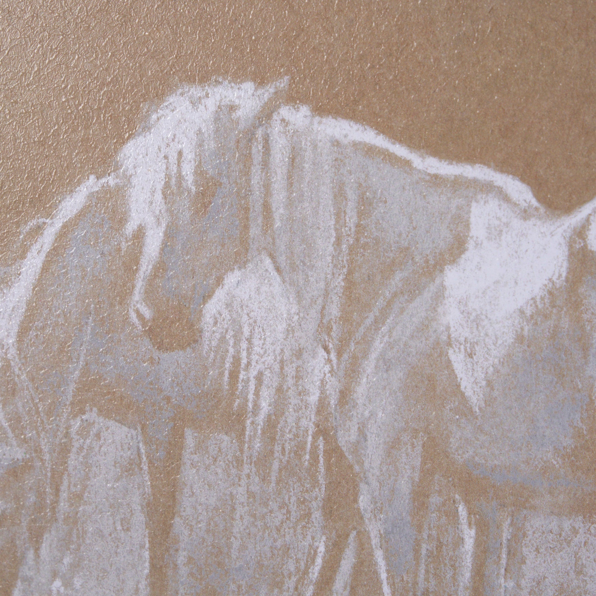 Duo I Horses