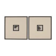 Autonomous - Set of 2