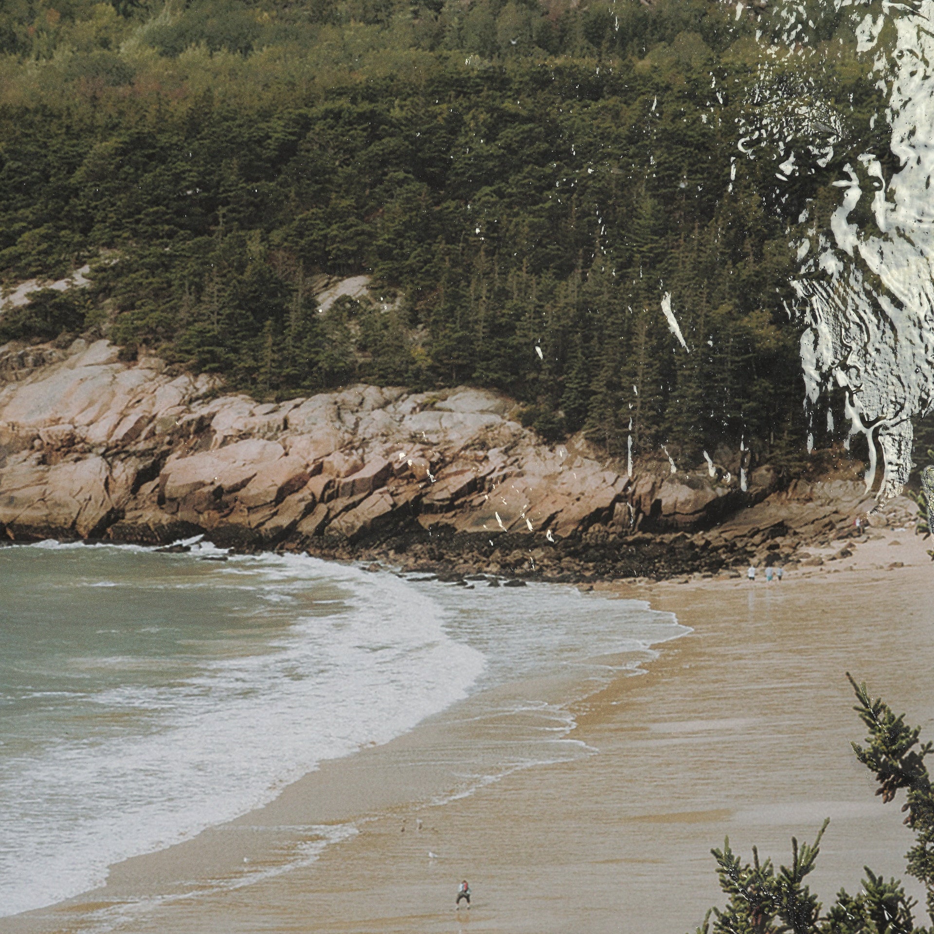 Maine Beach View