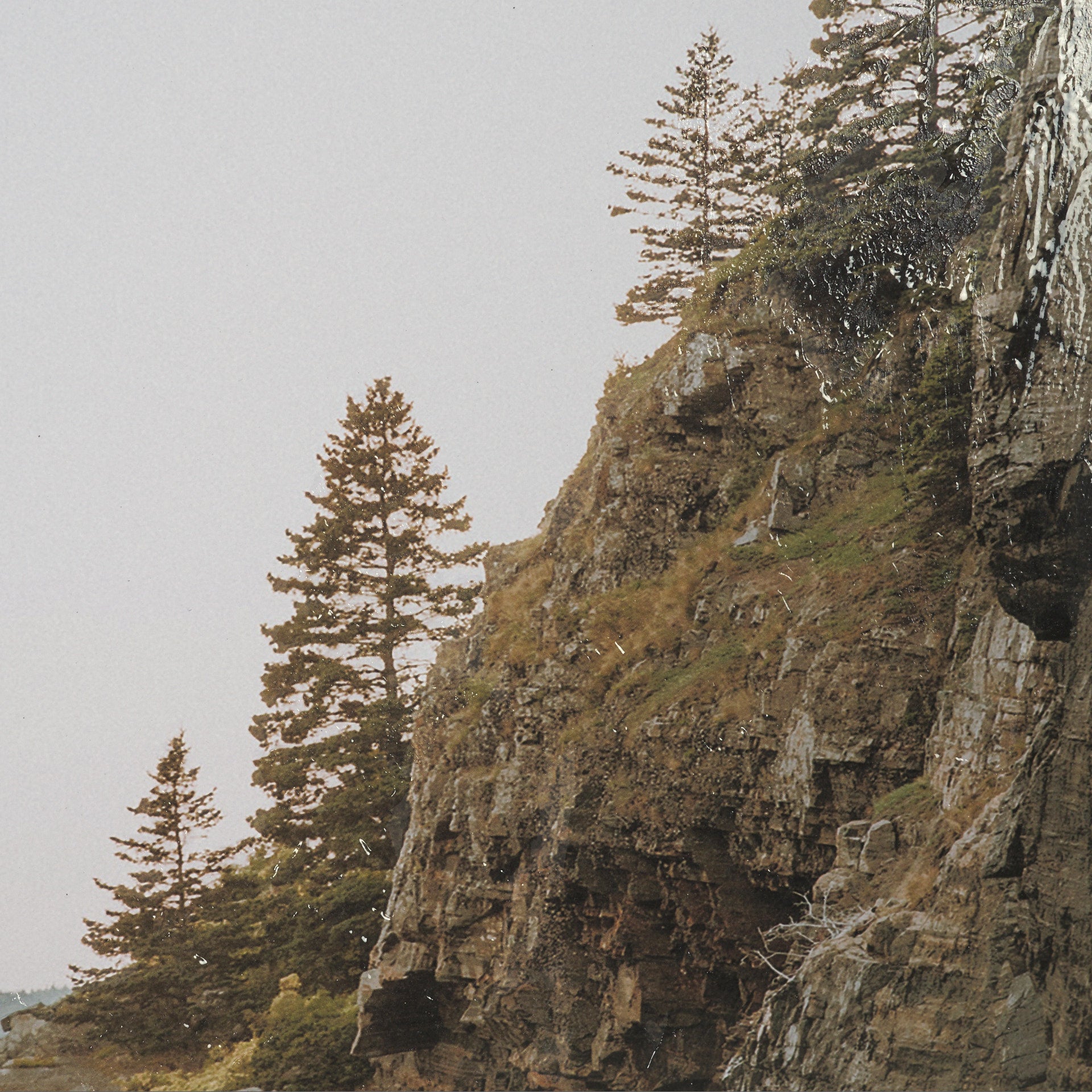 Maine Coastline