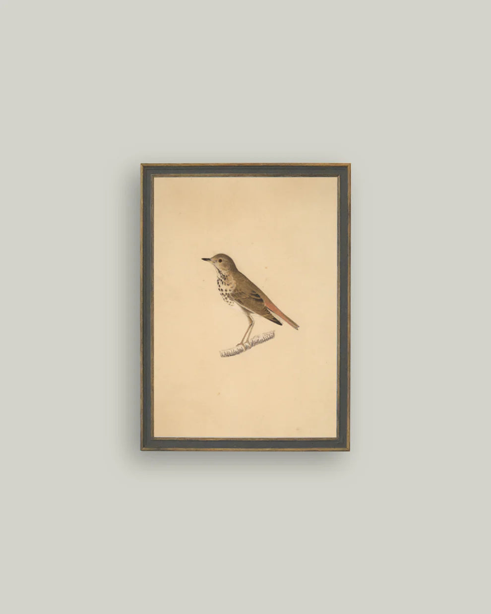 Bird Artwork