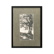Arise Framed Print