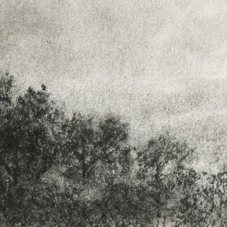 Hill Country Study I by Aileen Fitzgerald
