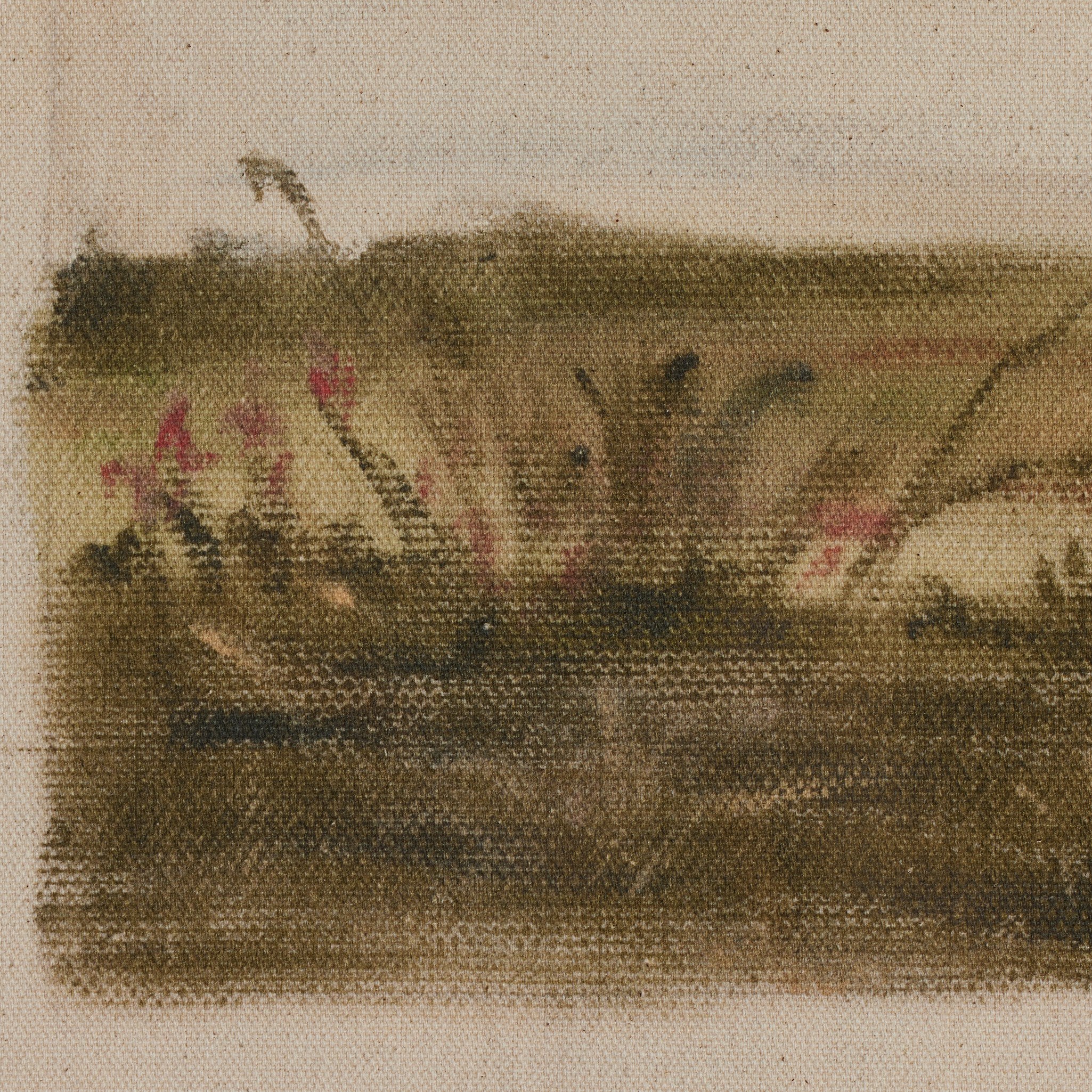 A New Beginning by Shaina Page