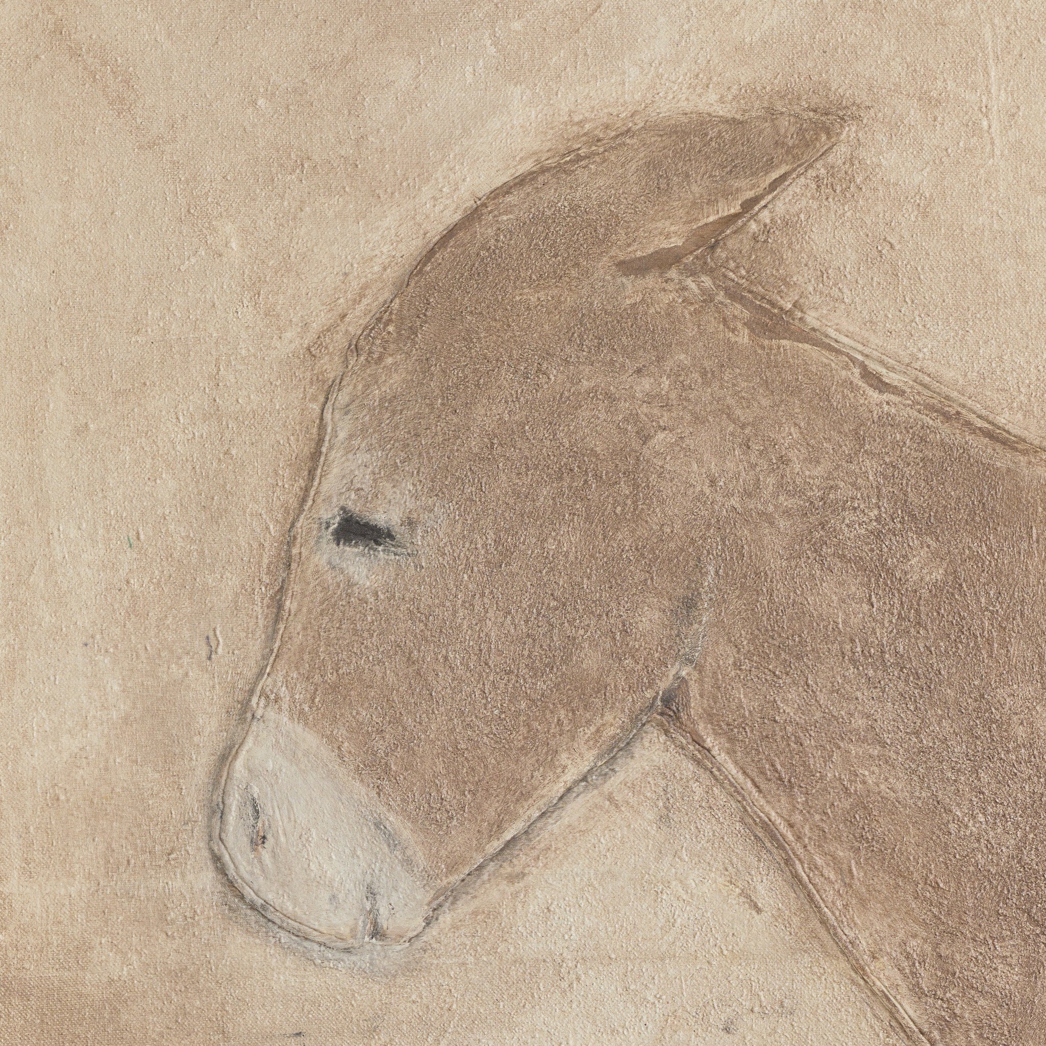 Burro Marron by Paul Meyer