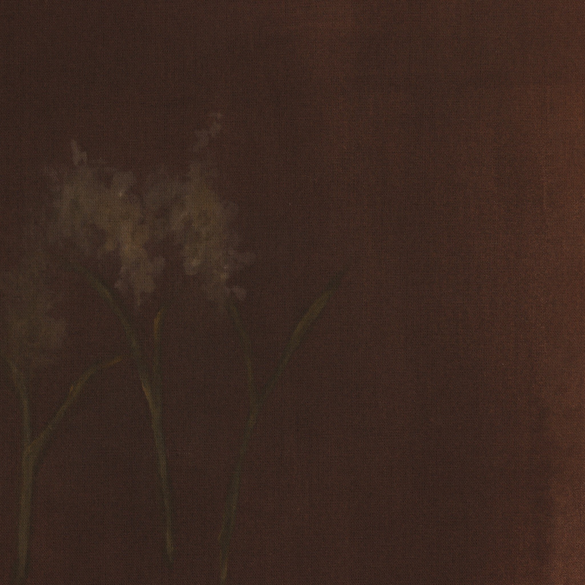 Bloom III by Brittney Schulz