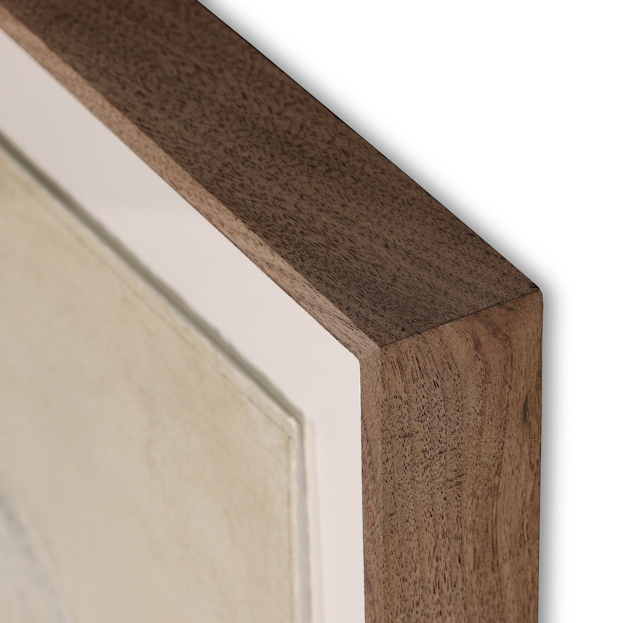 Burro Bestow by Paul Meyer