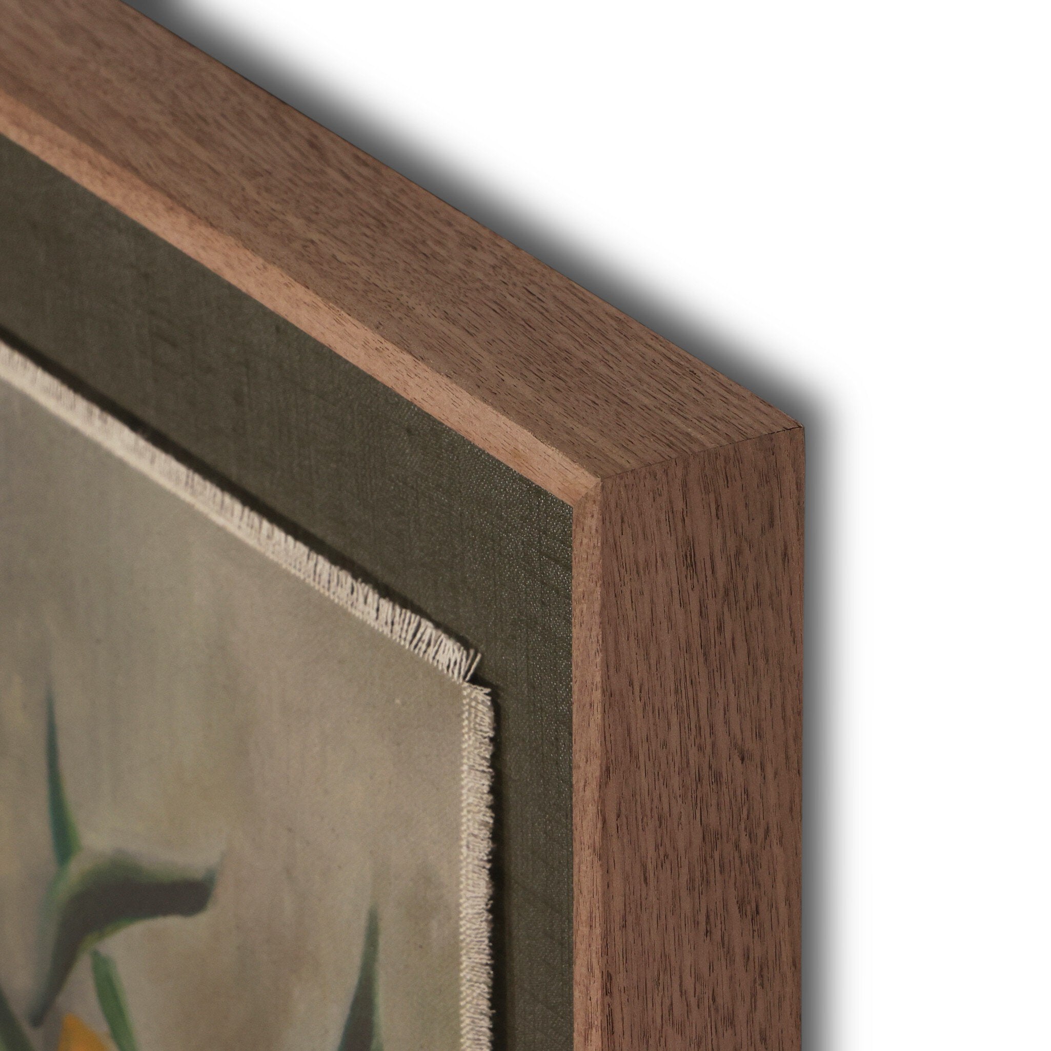 Citrus Still Life by Jess Engle