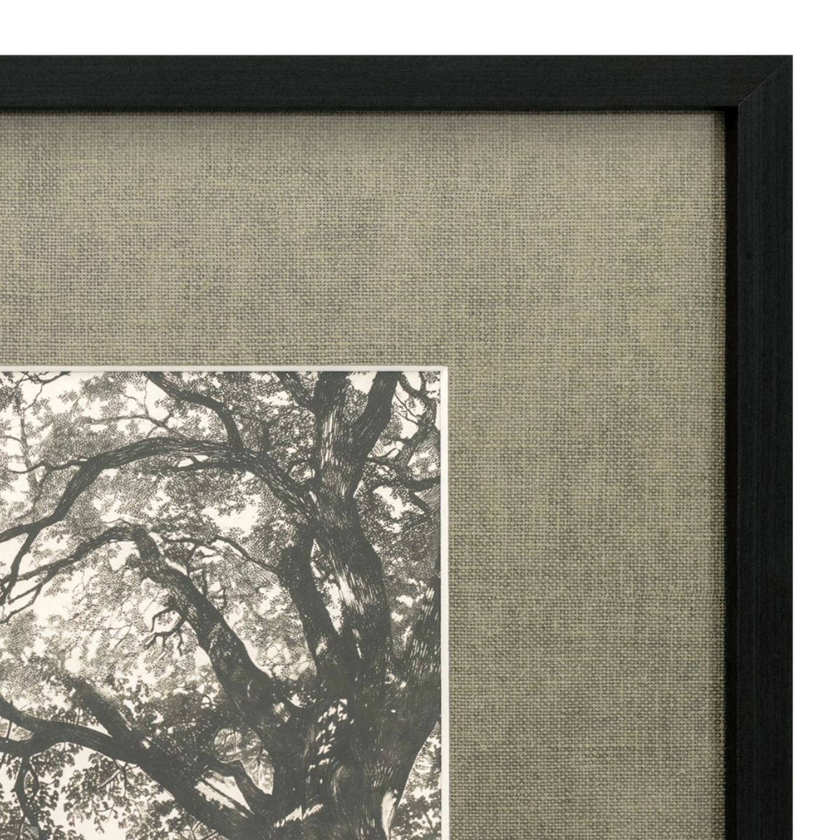 Arise Framed Print