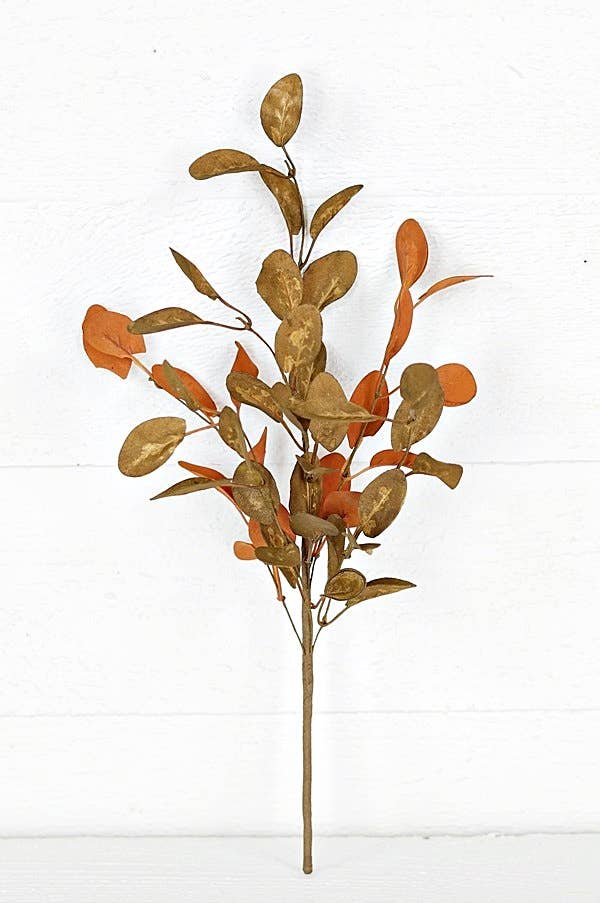 Brown Sage Mixed Olive Leaves