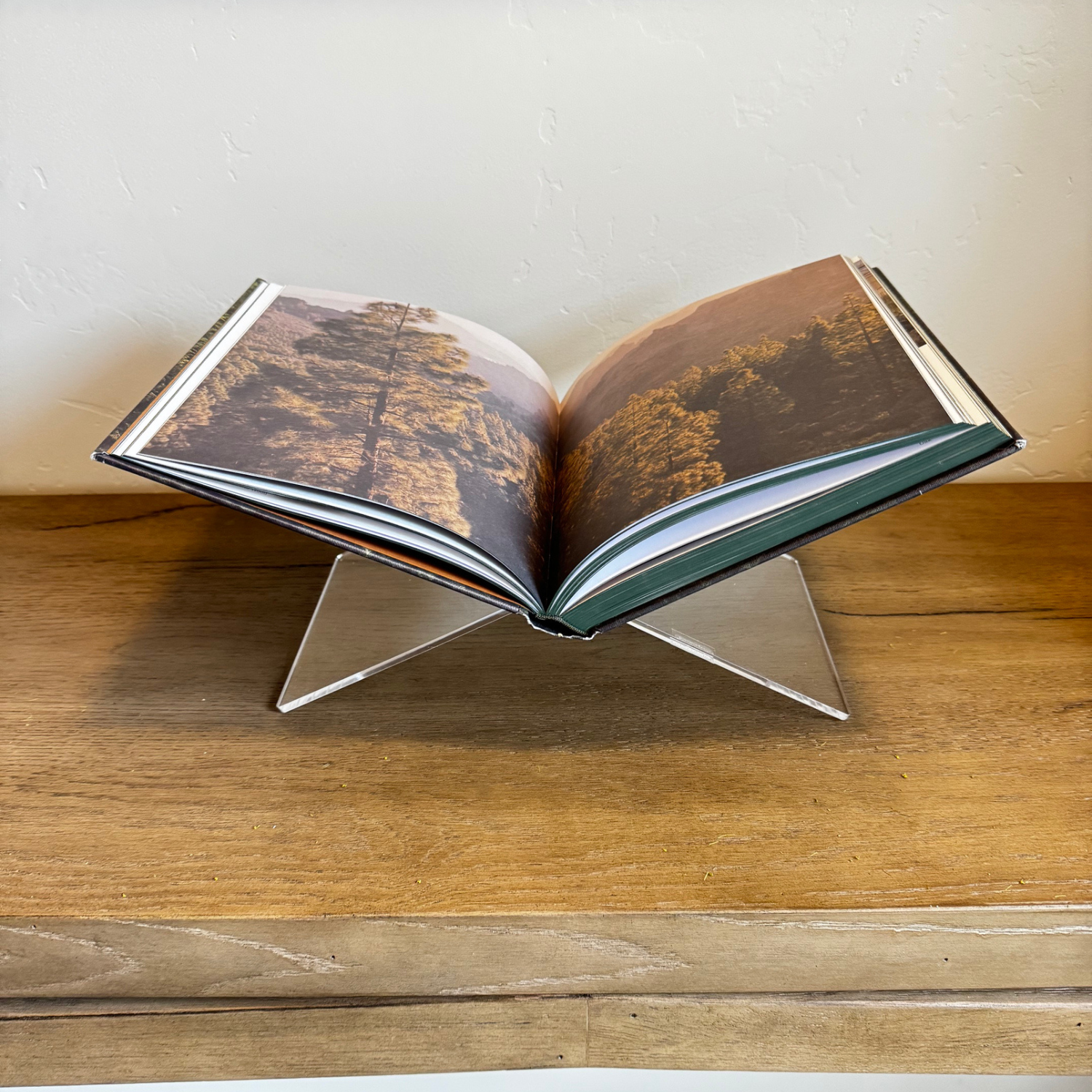Acrylic Book Holder