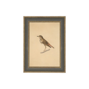 Bird Artwork