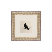 Crow Artwork