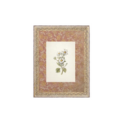 Daisies on Pattern Artwork
