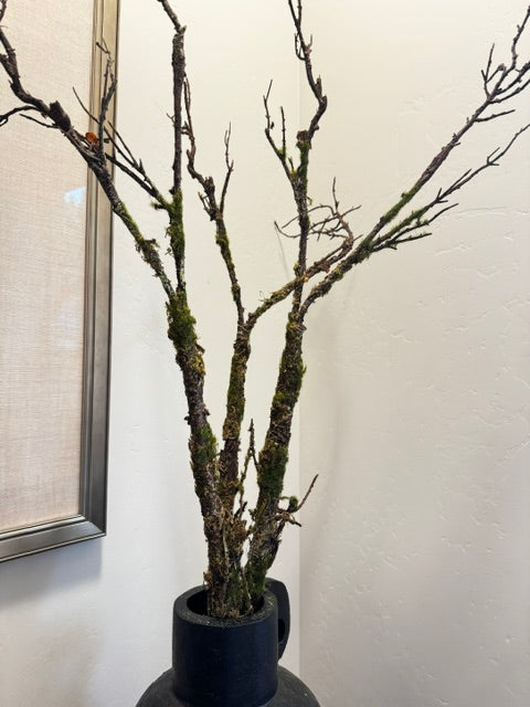 45" Mossy Branch