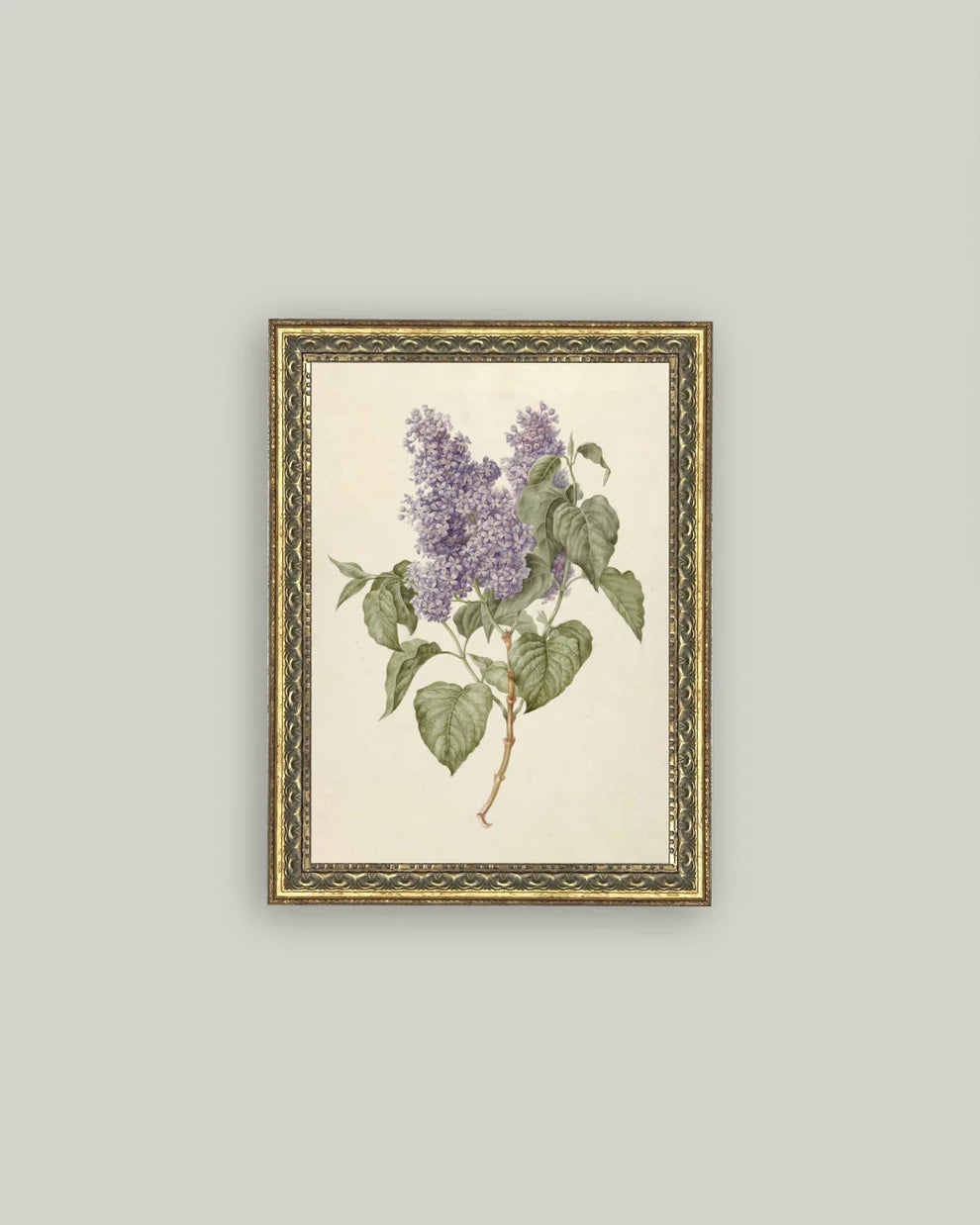 Lilac Branch Artwork