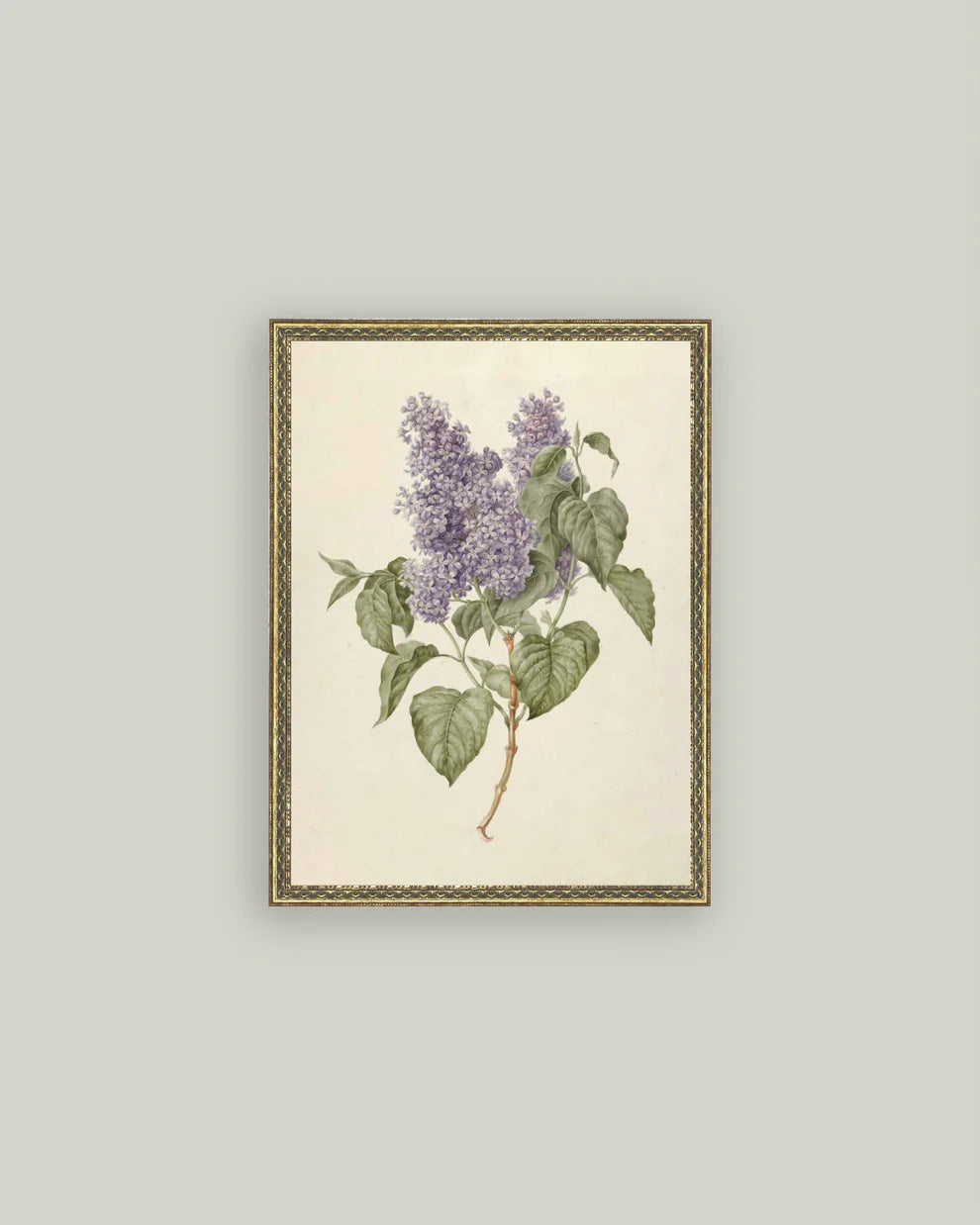 Lilac Branch Artwork