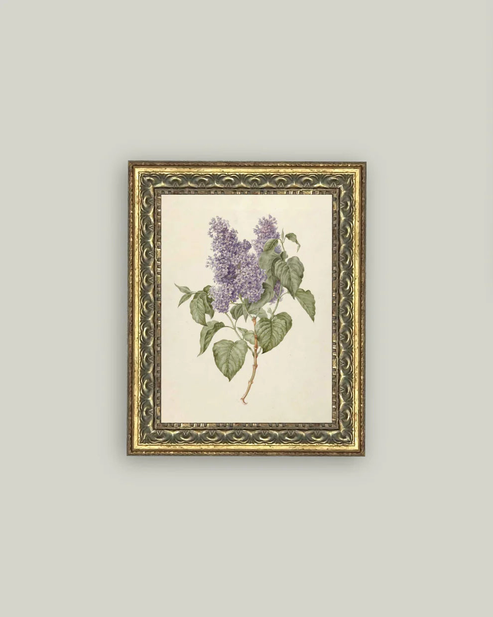 Lilac Branch Artwork