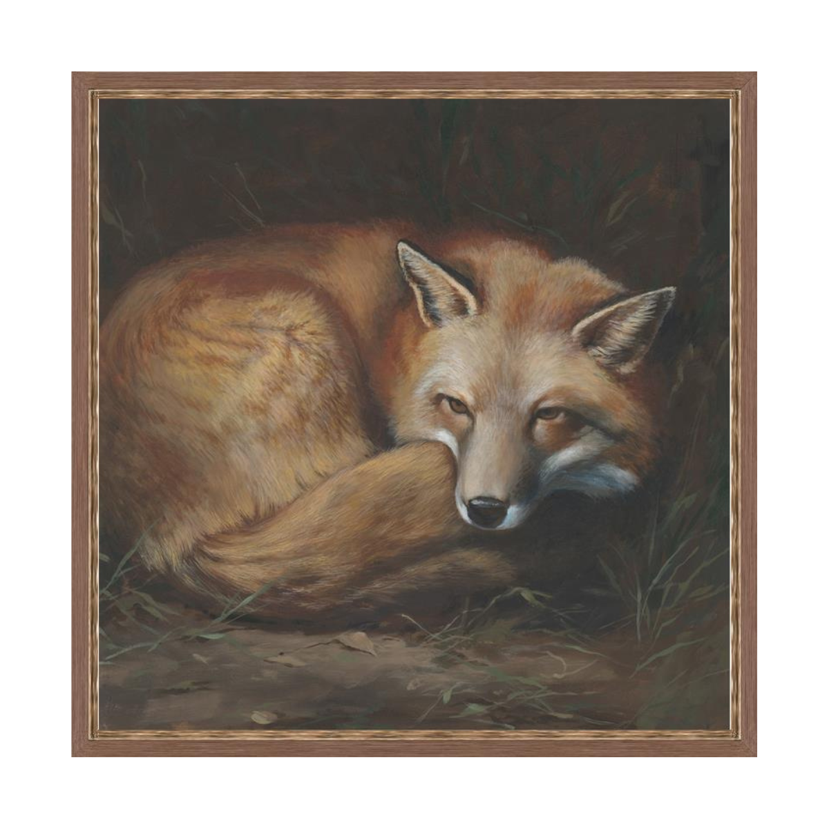 The Fox's Dream Artwork