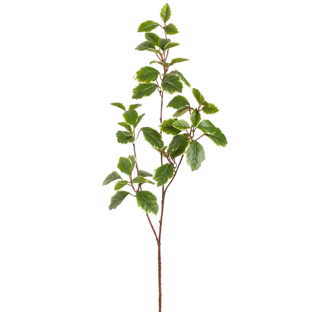 River Birch Spray