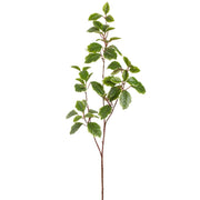 River Birch Spray