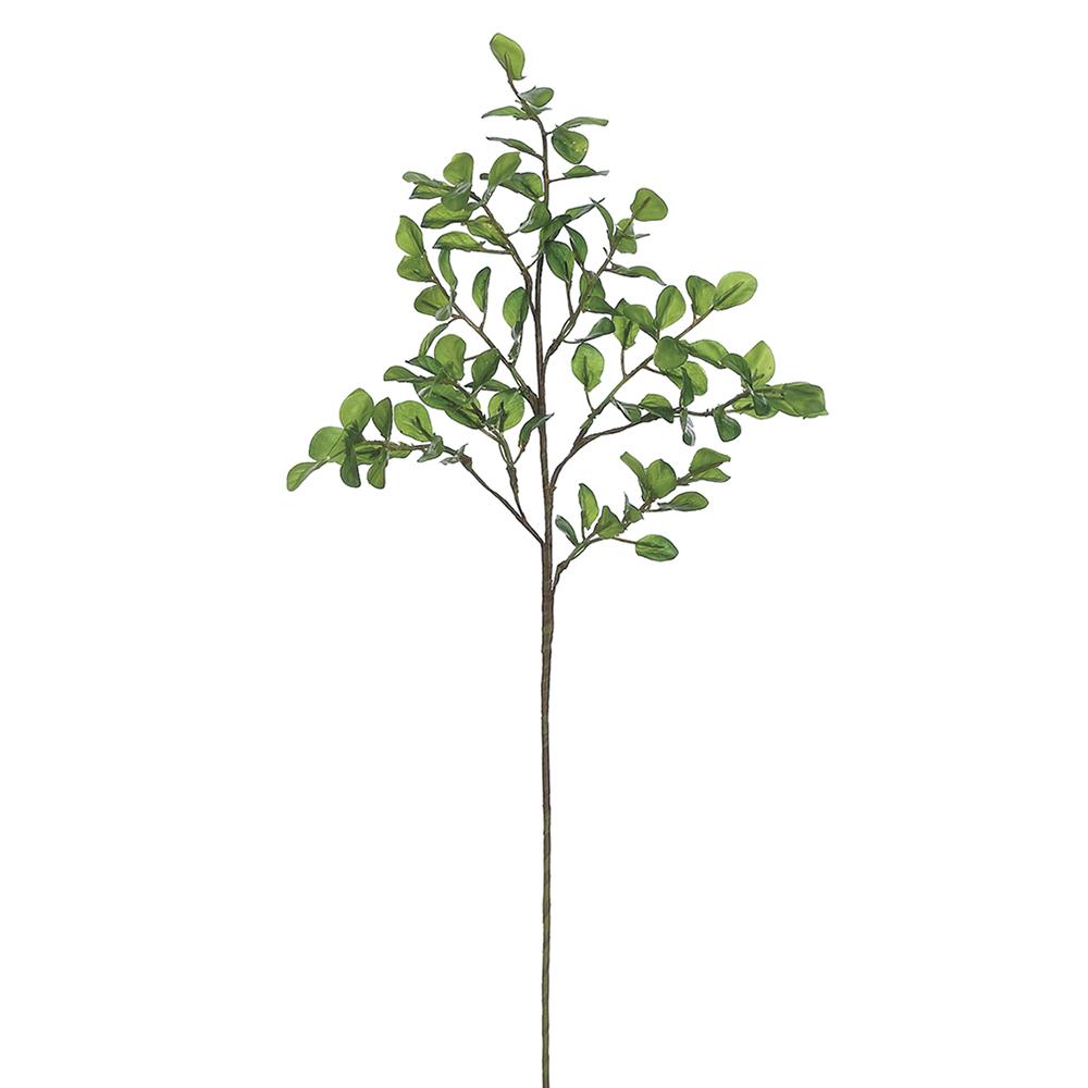 22" Green Button Leaf Spray