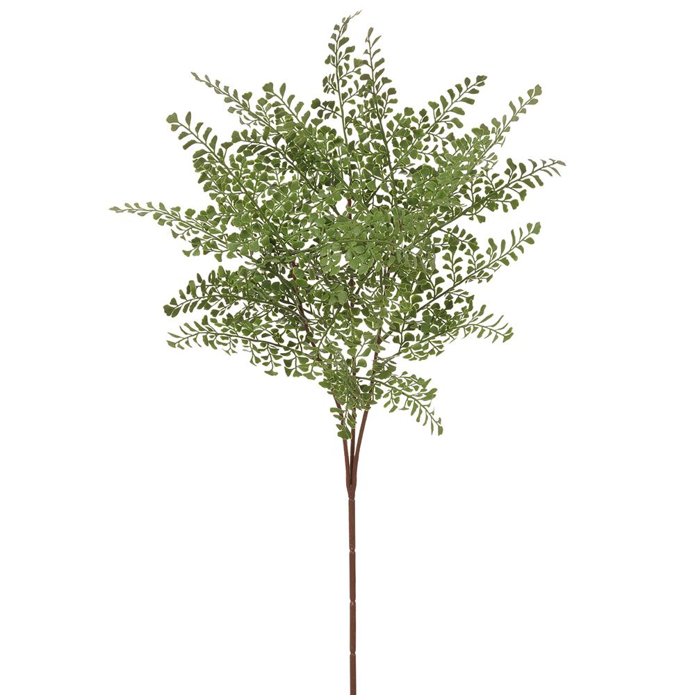 Maidenhair Green Fern Spray