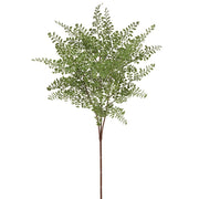 Maidenhair Green Fern Spray