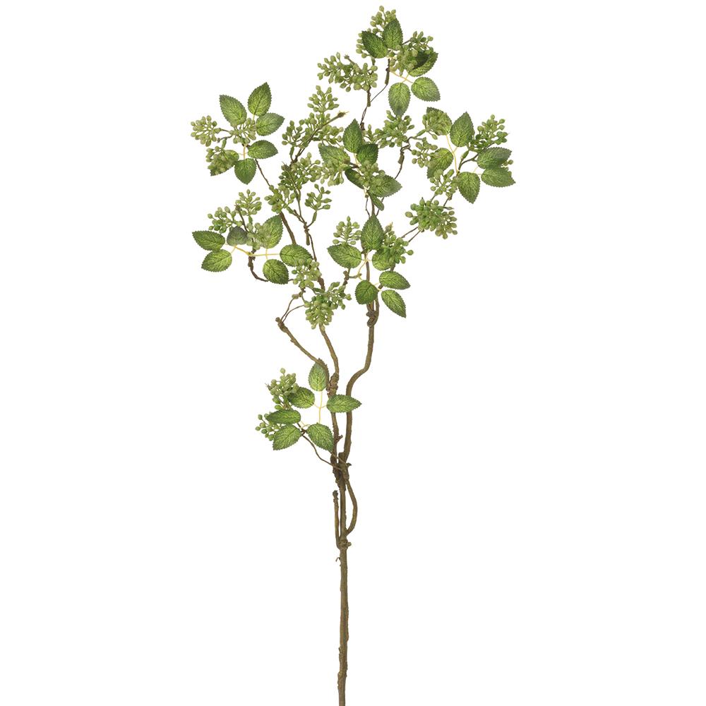 Green Sedum Spray