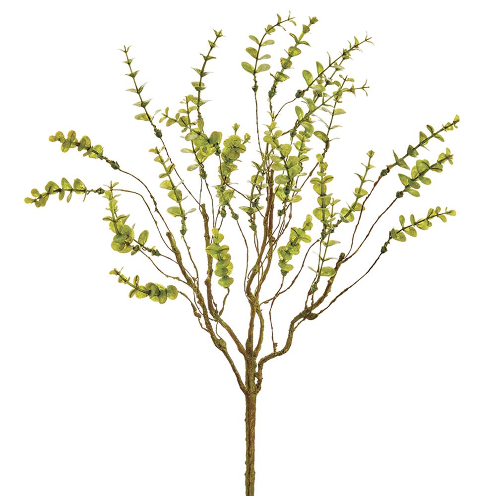Green Mini Eucalyptus Bush