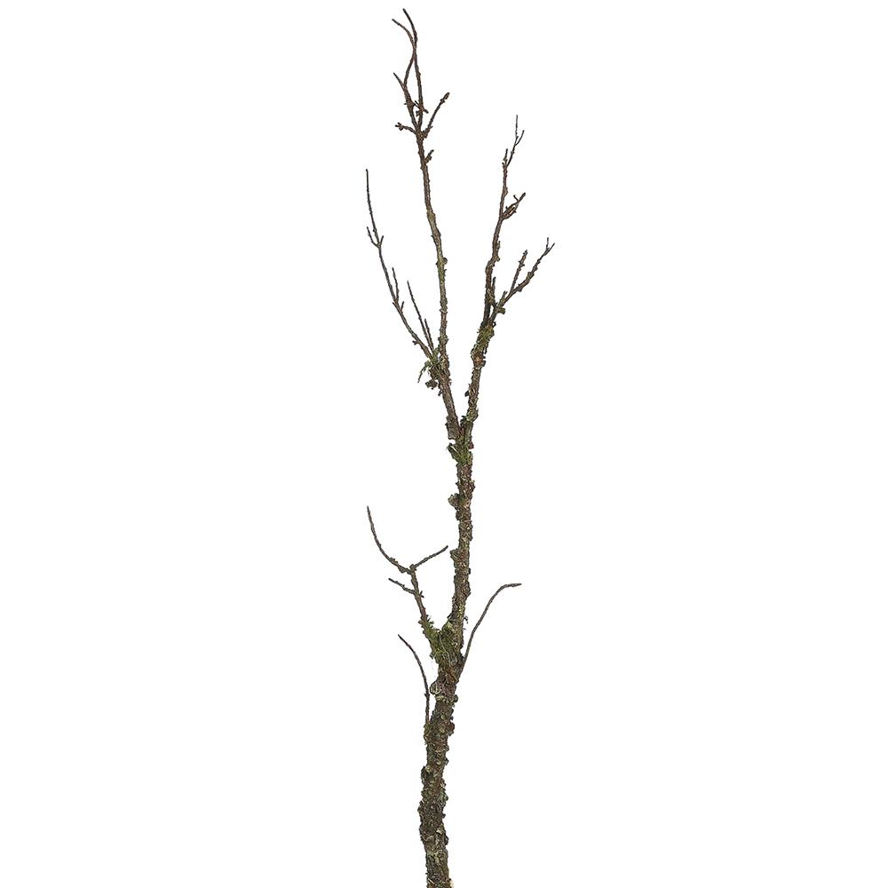 45" Mossy Branch