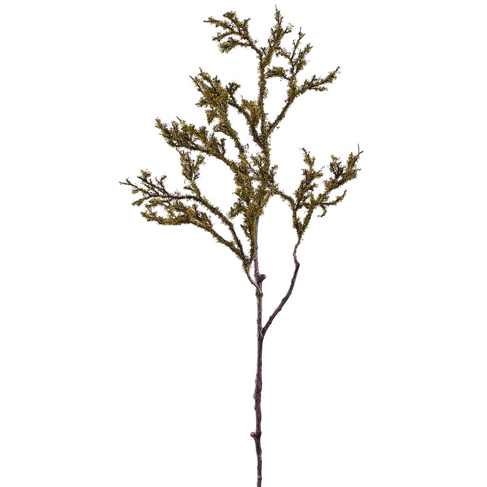 33" Moss Spray