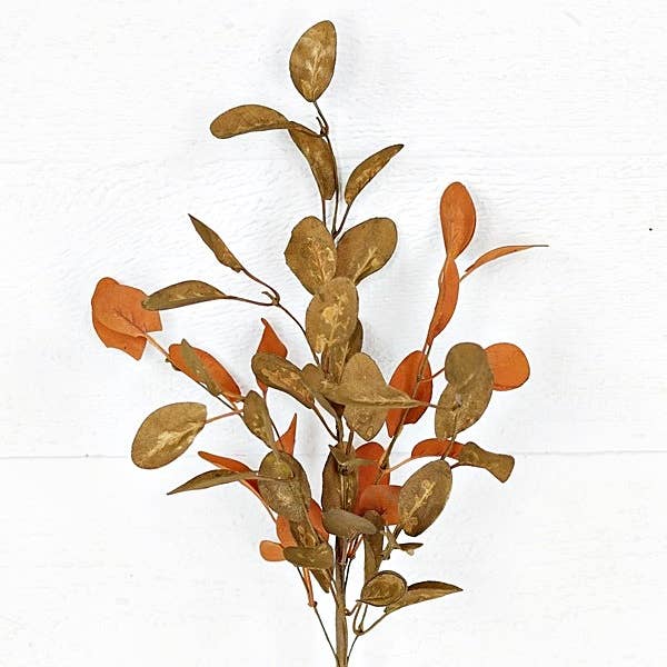 Brown Sage Mixed Olive Leaves